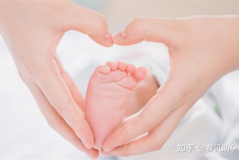 http://zhuhai.51dzb.net/post/188.html|珠海新闻中心